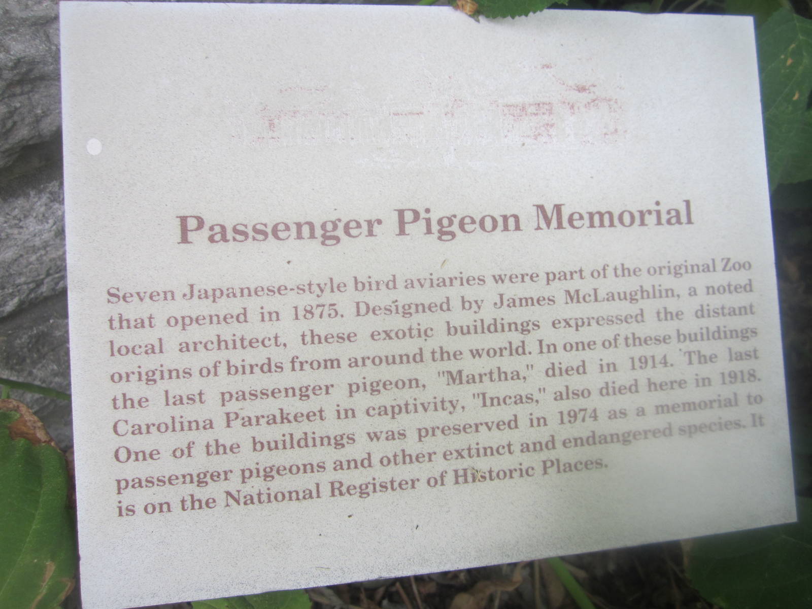 Aug. 2012-Passenger Pigeon sign