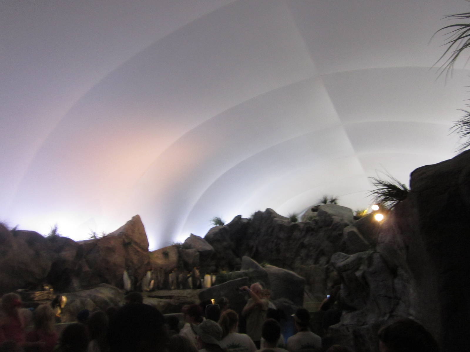 Aug. 2012-Penguin Cove