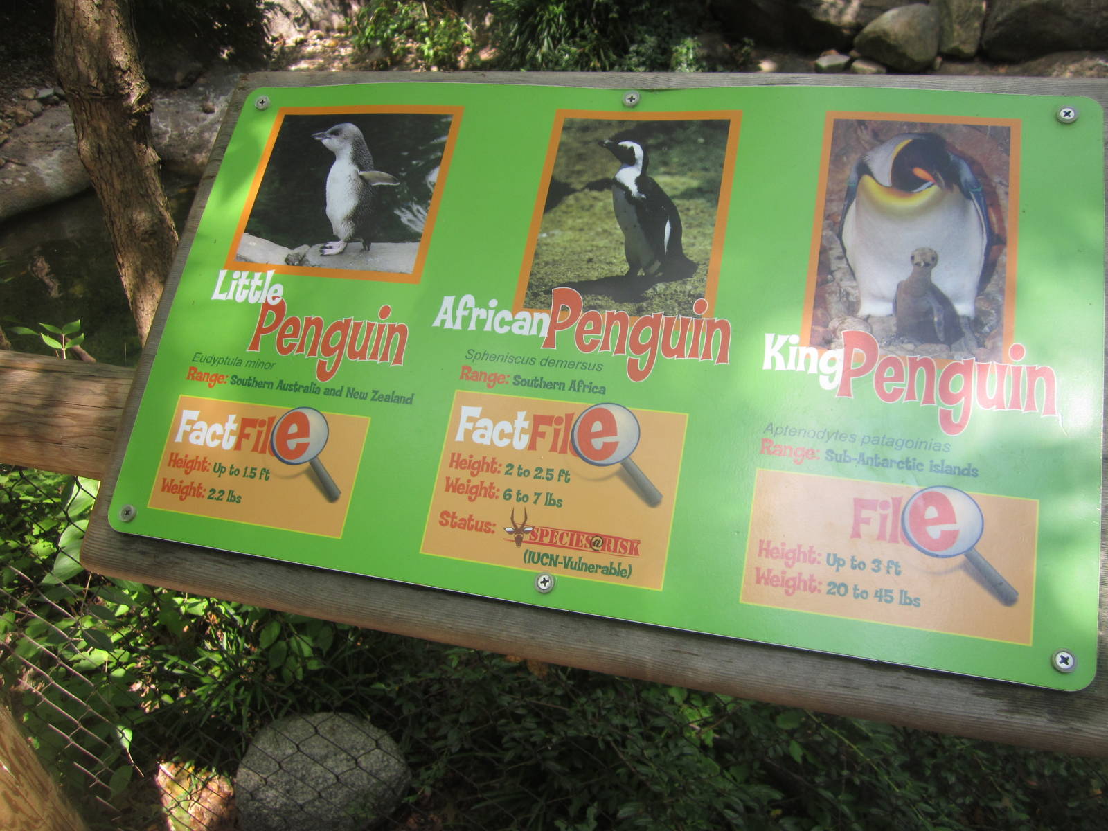 Aug. 2012-Penguin sign