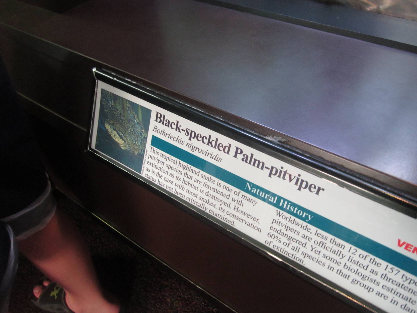 Aug. 2012-Pit-viper sign