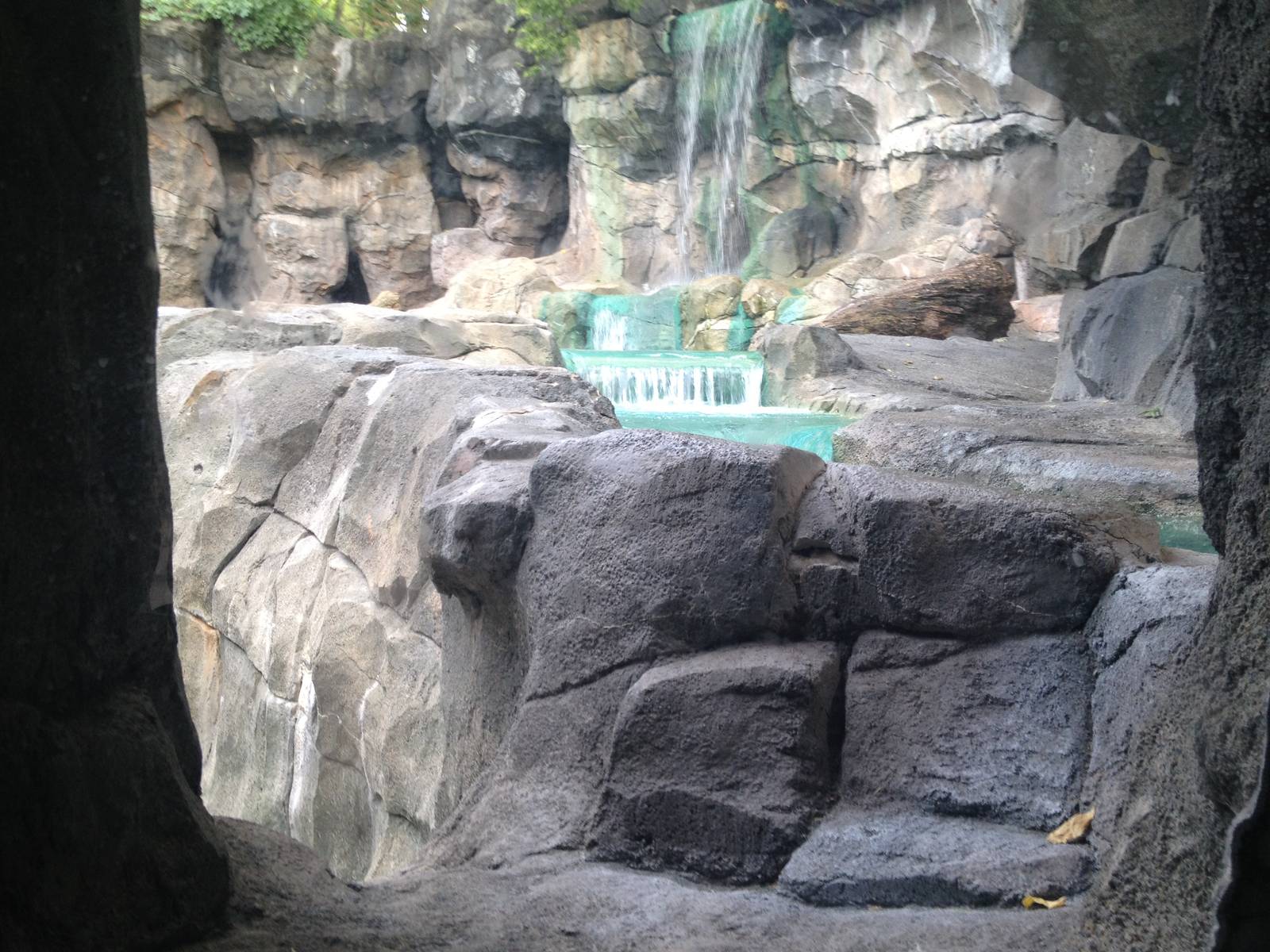 Aug. 2012-Polar Bear exhibit from den viewing