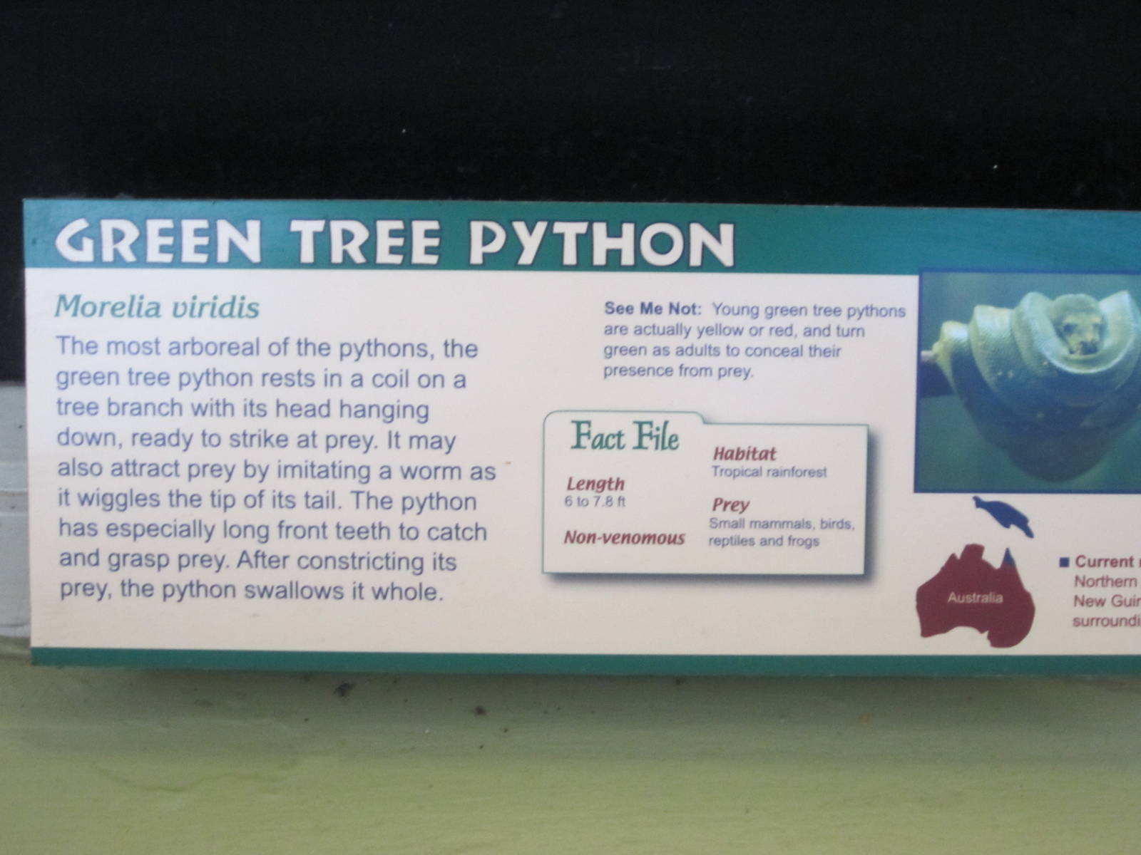 Aug. 2012-Python sign