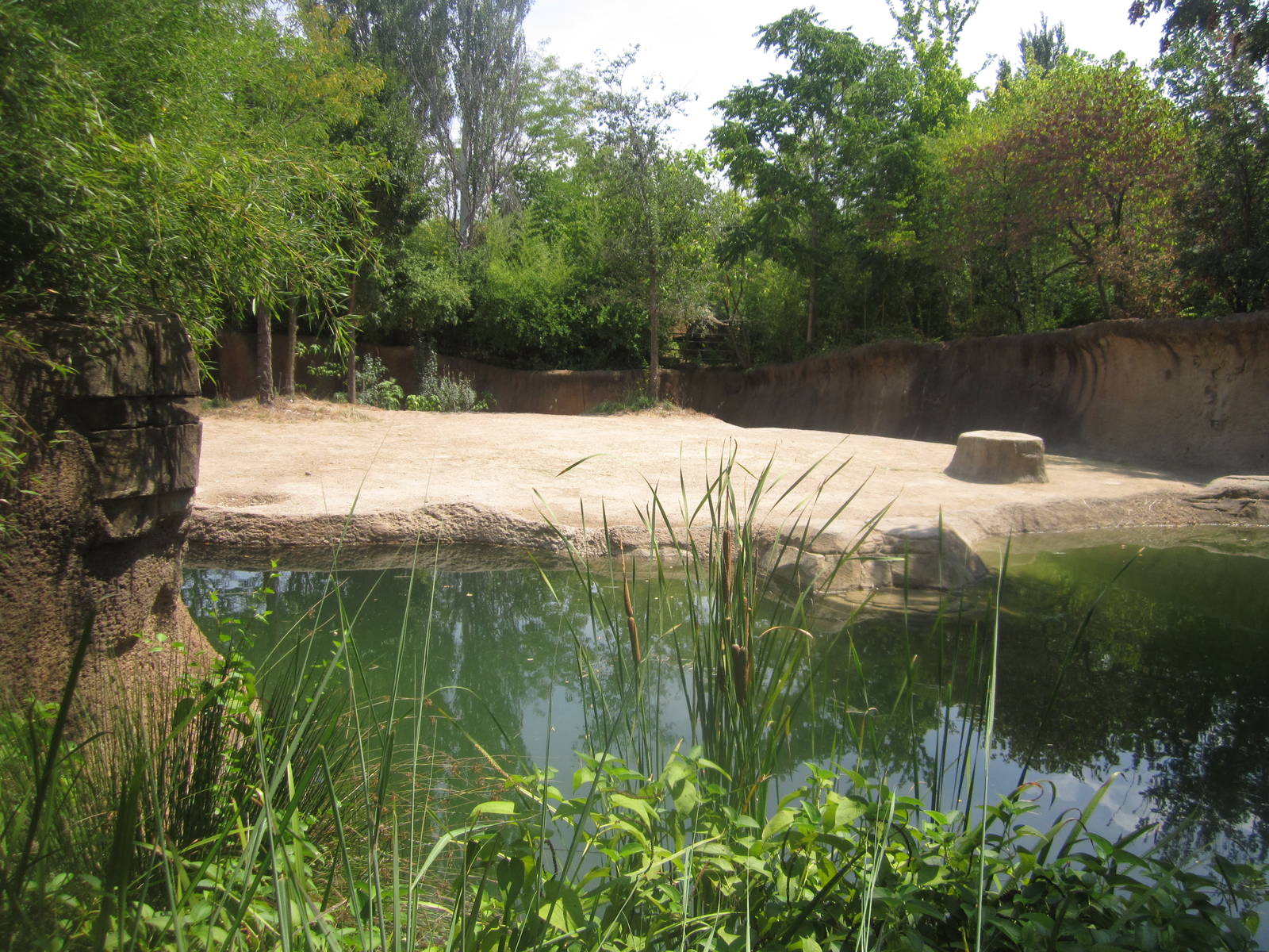 Aug. 2012-Raja's yard