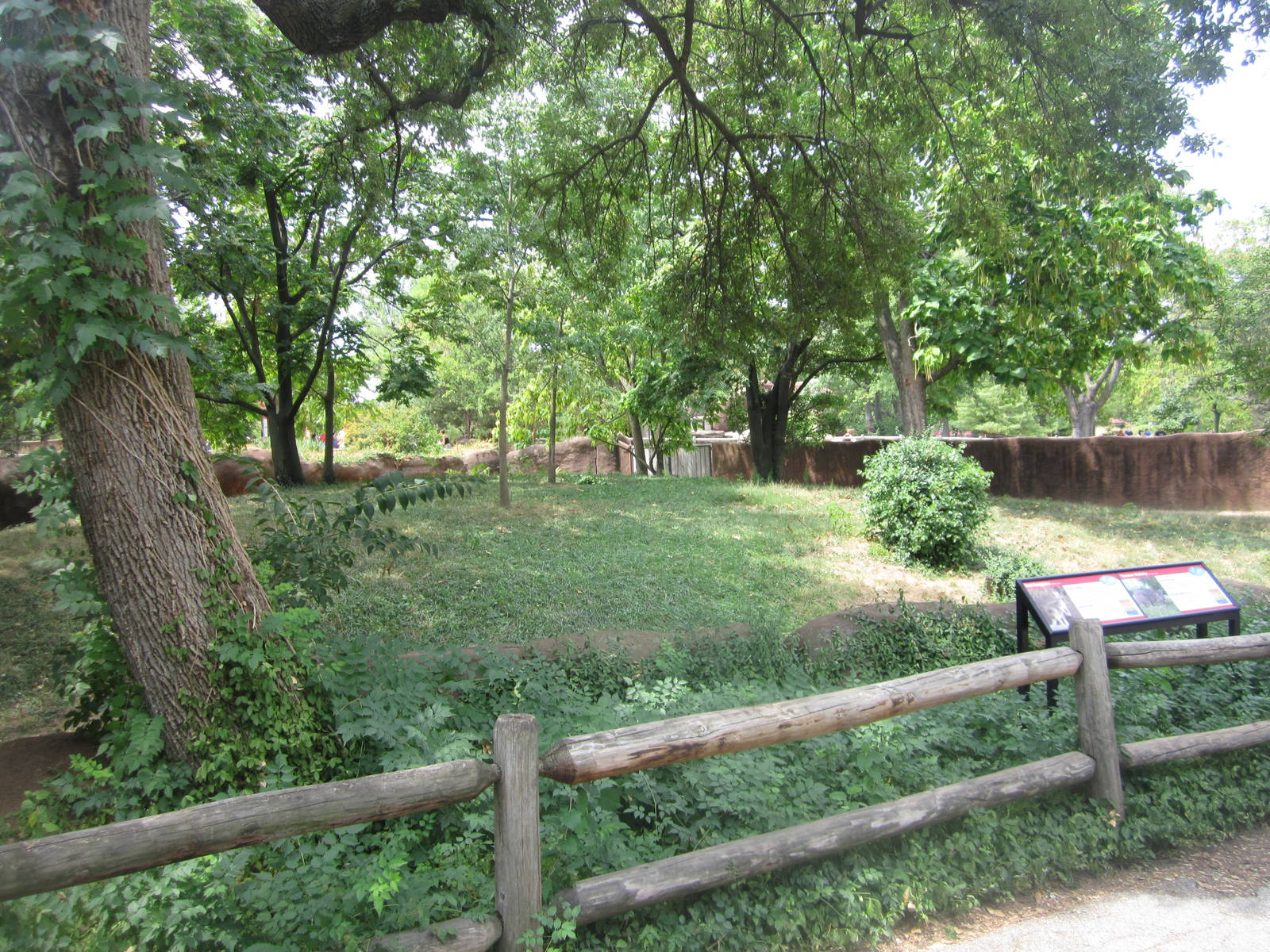 Aug. 2012-Red Kangaroo/Tamar Wallaby exhibit
