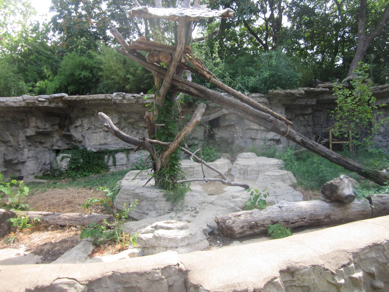 Aug. 2012-Red Panda exhibit