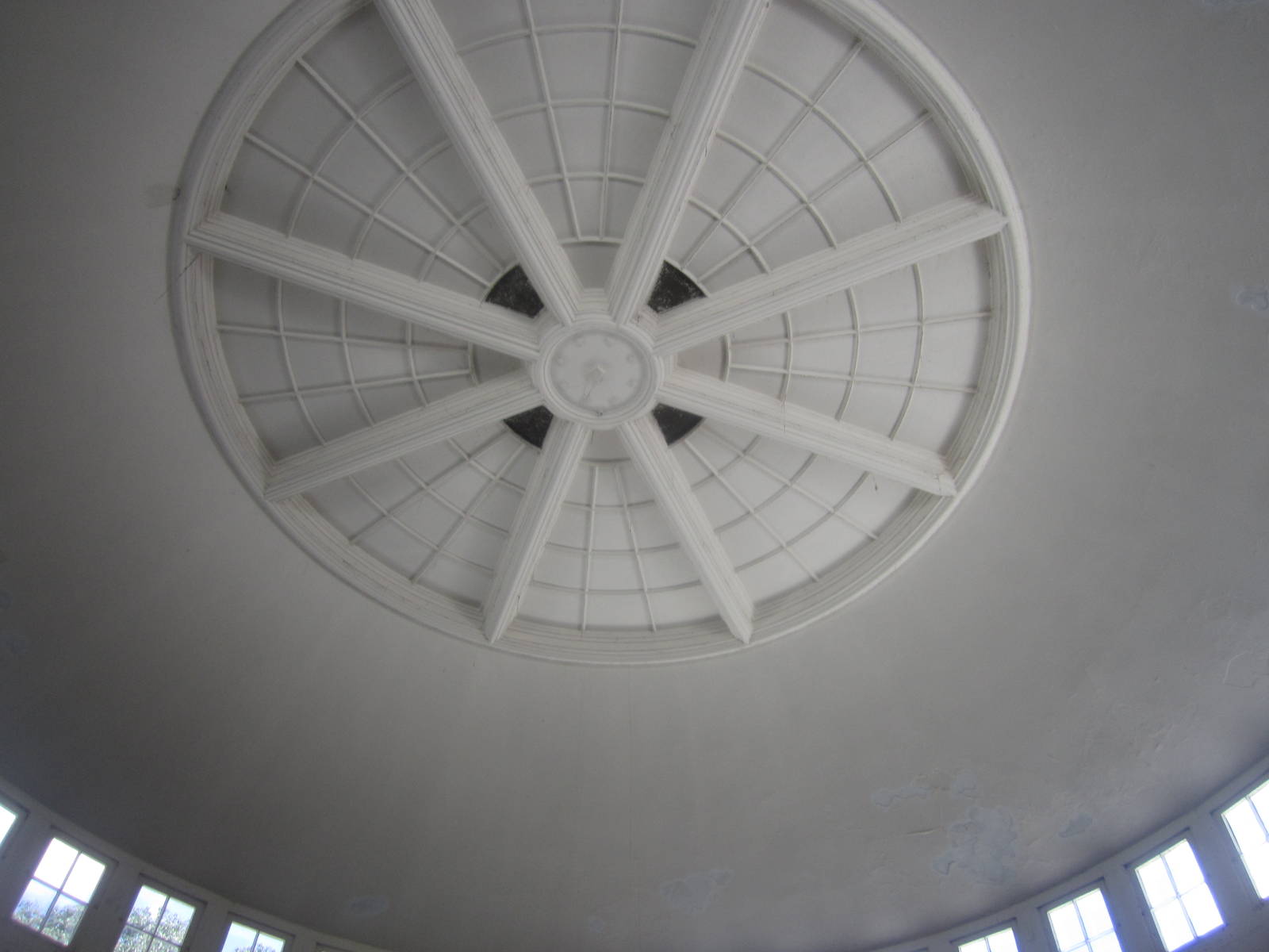 Aug. 2012-Reptile House Roof