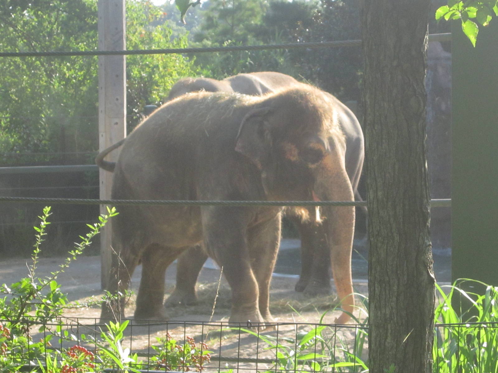 Aug. 2012-Sabu sniffing Jati