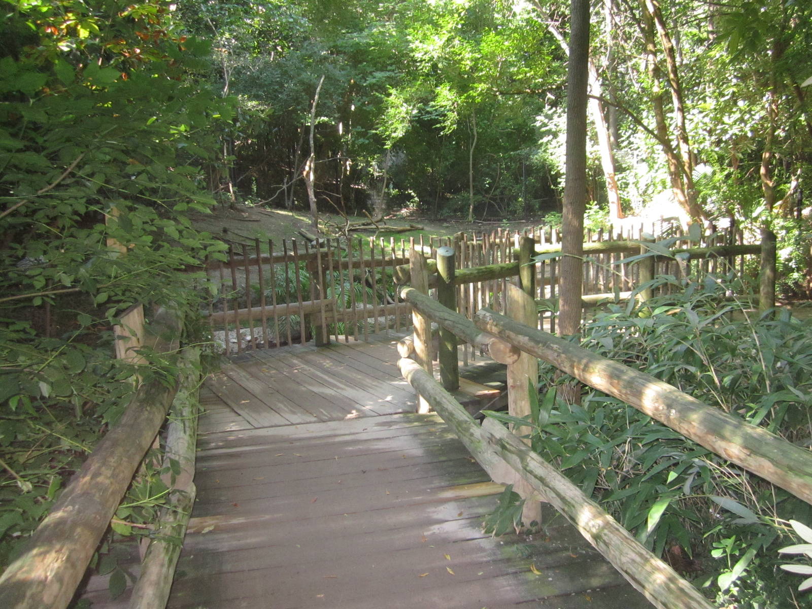 Aug. 2012-Saddle-billed Stork/Pink-backed Pelican exhibit viewing