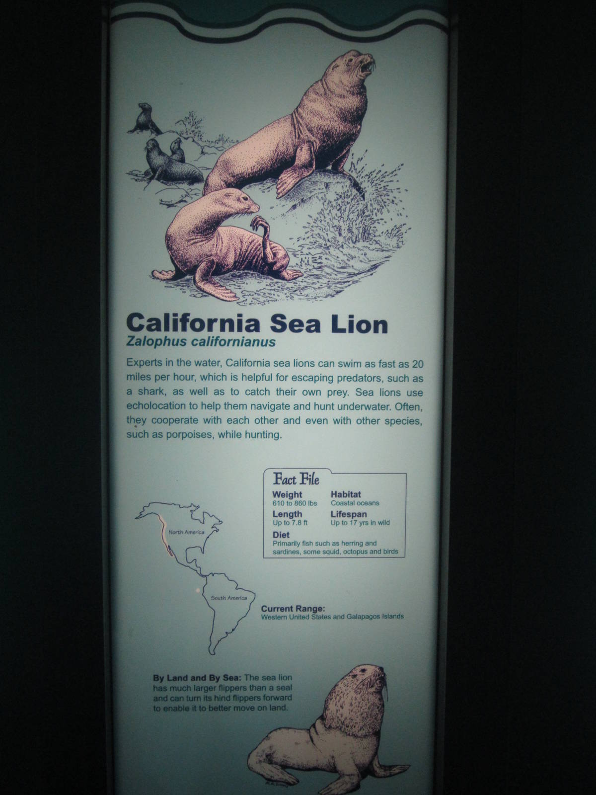 Aug. 2012-Sea Lion sign