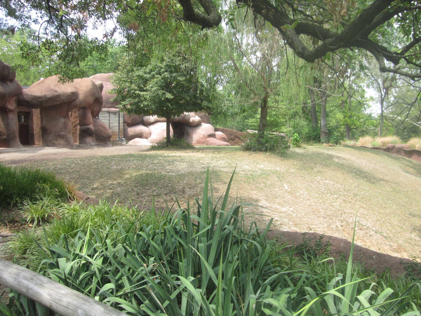Aug. 2012-Sichuan Takin/Indian Blue Peafowl exhibit