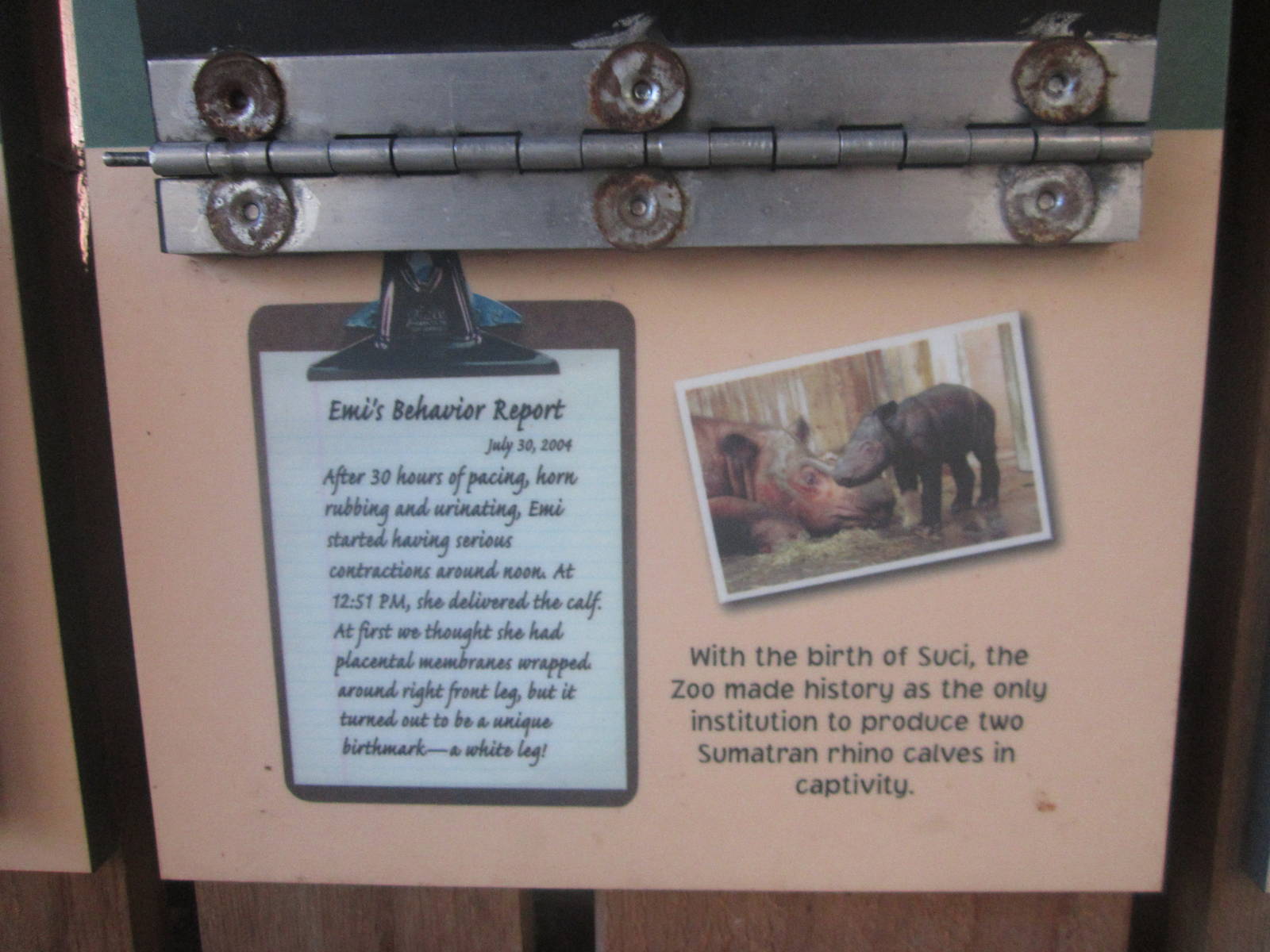 Aug. 2012-Sign on the importance of Suci's birth