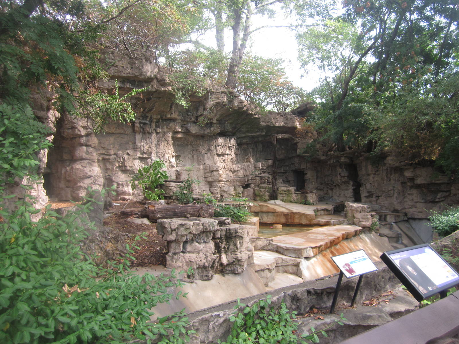 Aug. 2012-Sloth Bear exhibit