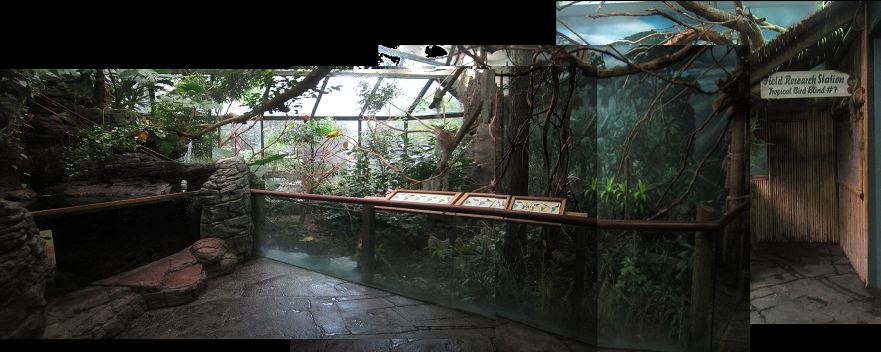 Aug. 2012-South America atrium panorama