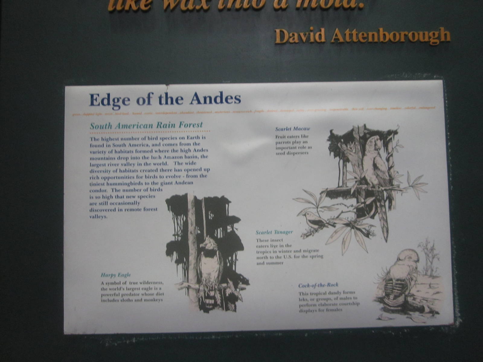 Aug. 2012-South America atrium sign