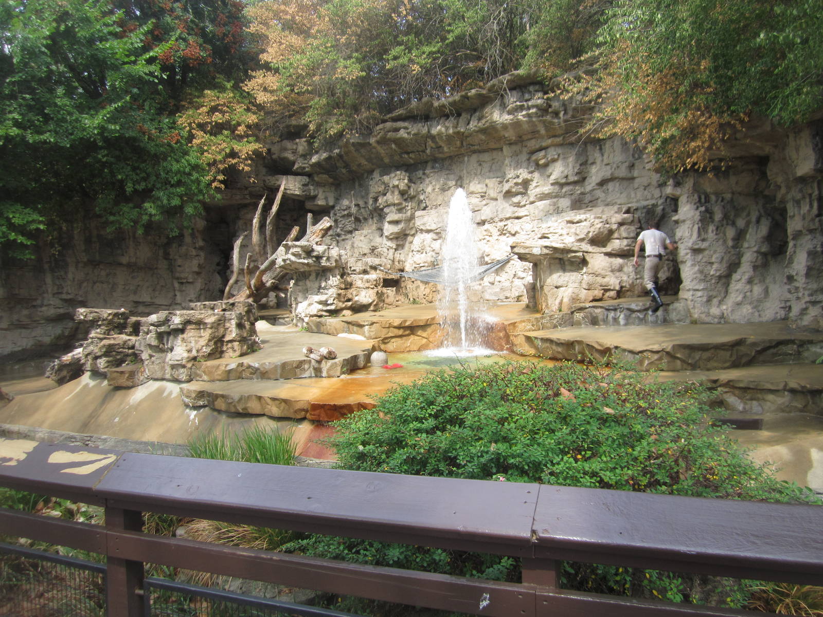 Aug. 2012-Spectacled Bear exhibit
