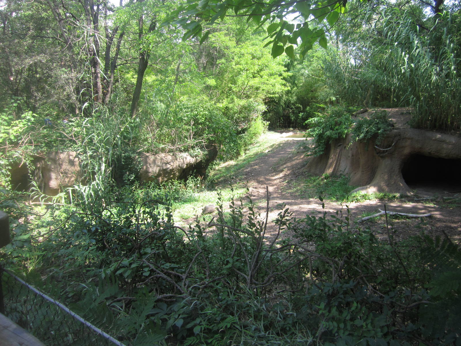 Aug. 2012-Spotted Hyena exhibit
