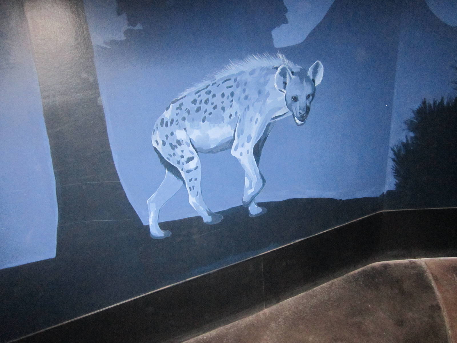 Aug. 2012-Spotted Hyena painting