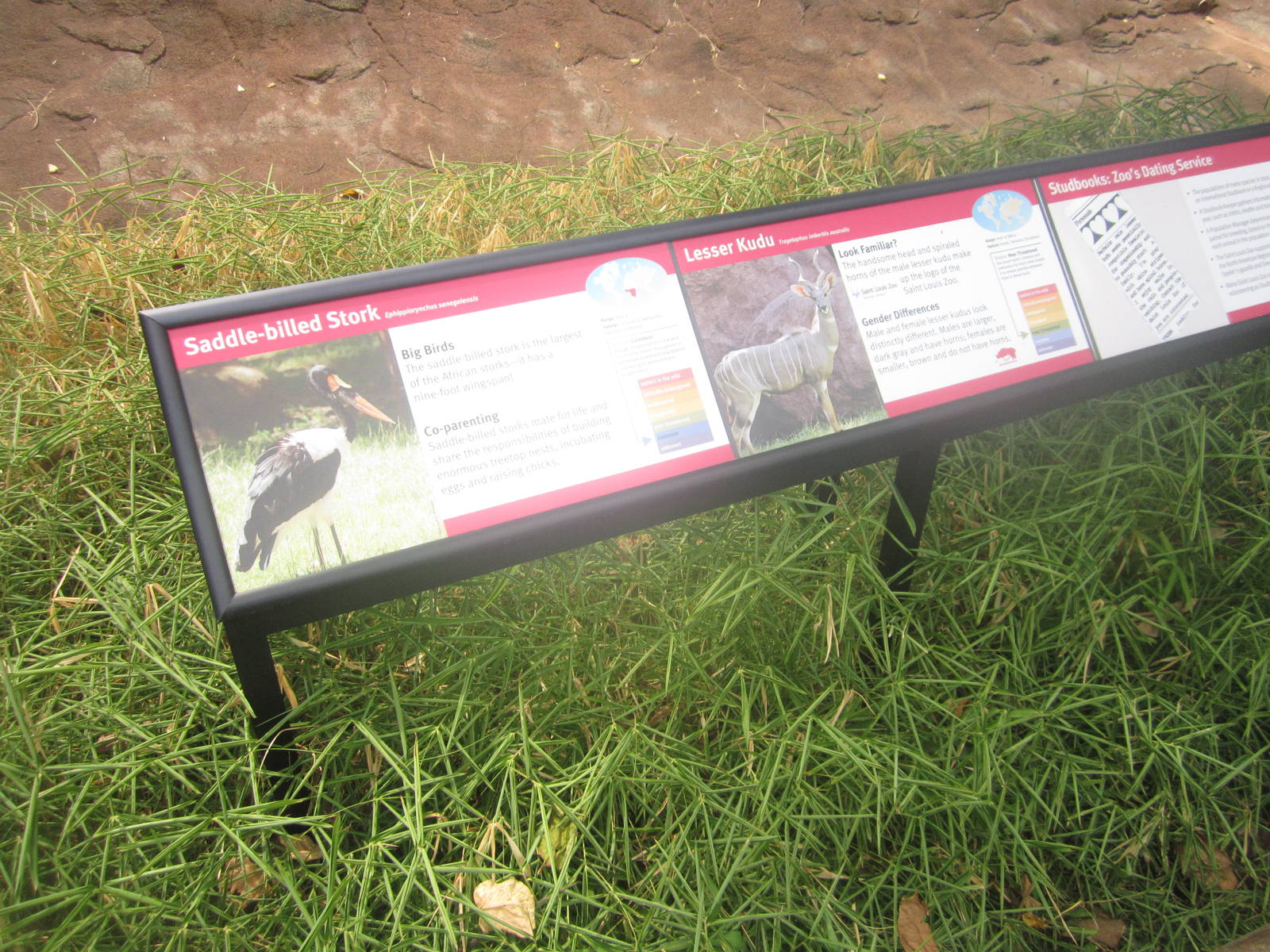 Aug. 2012-Stork/Kudu sign