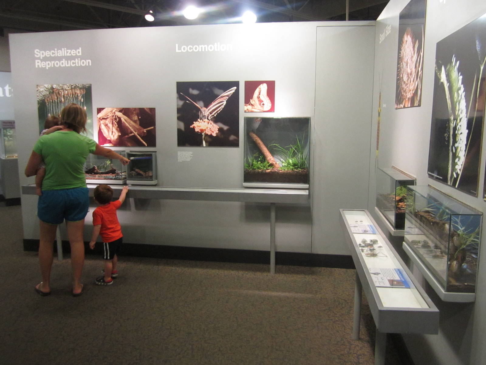 Aug. 2012-Success of the Insect section