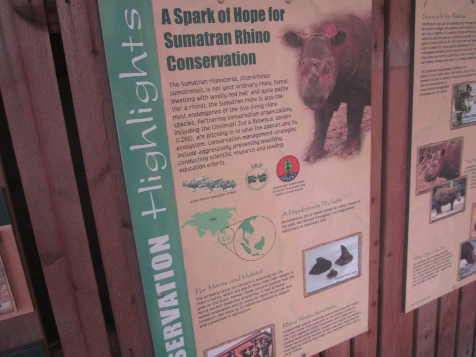 Aug. 2012-Sumatran Rhinoceros sign