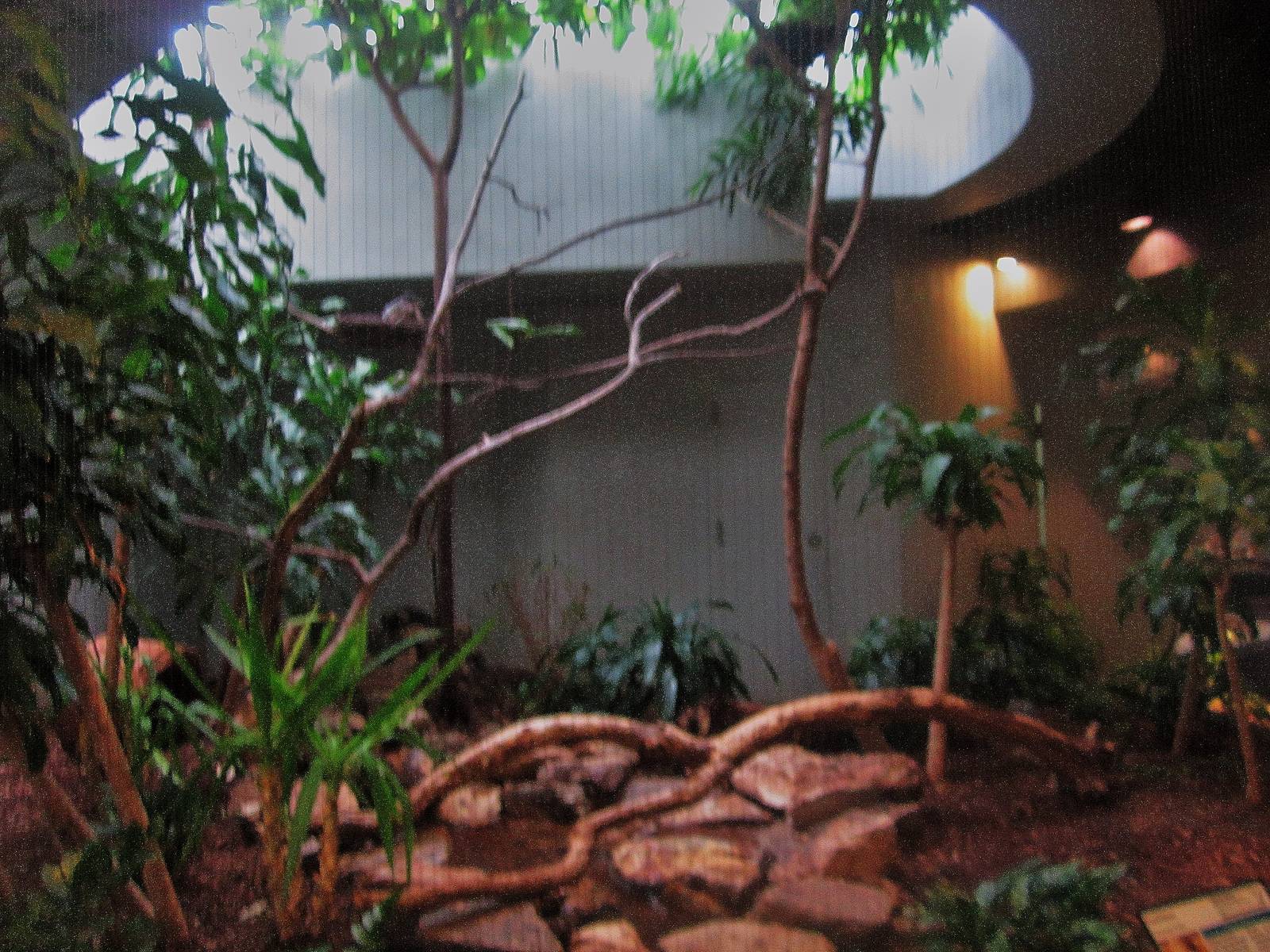 Aug. 2012-Sunbittern exhibit
