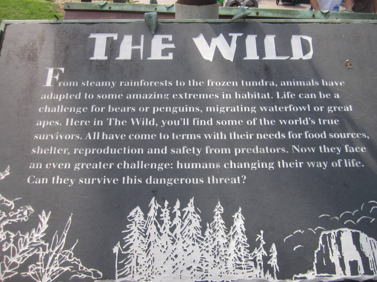 Aug. 2012-The Wild Sign