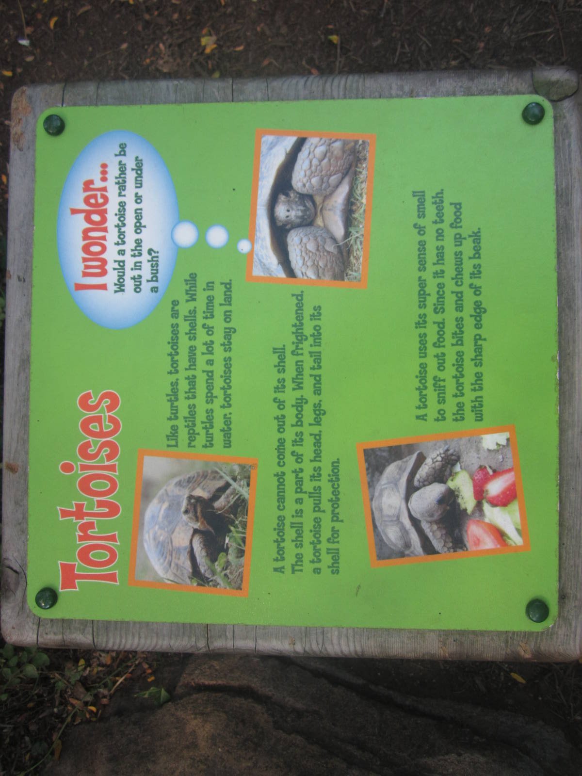 Aug. 2012-Tortoise sign