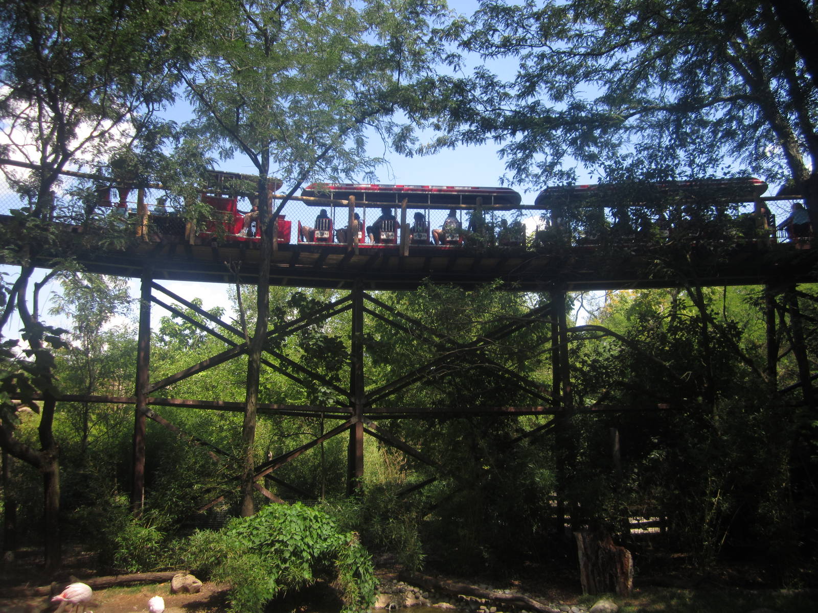 Aug. 2012-Train over Flamingo Cove