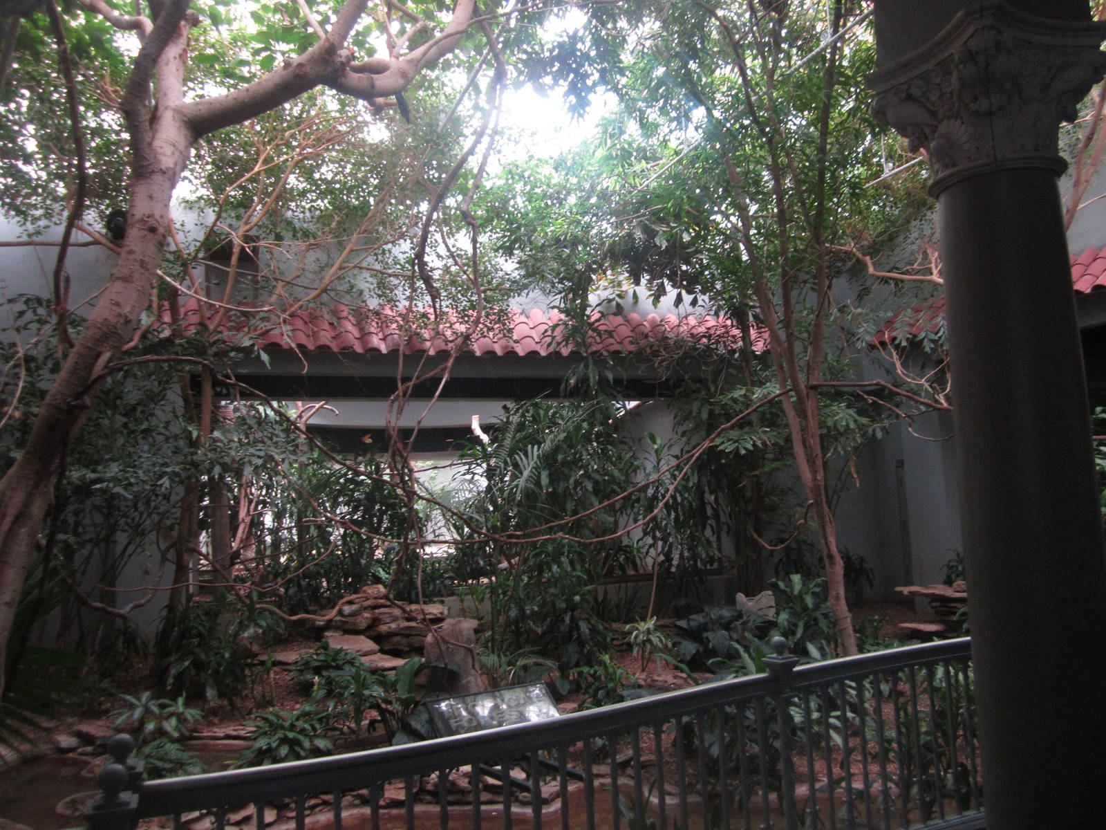 Aug. 2012-Tropical Forest exhibit