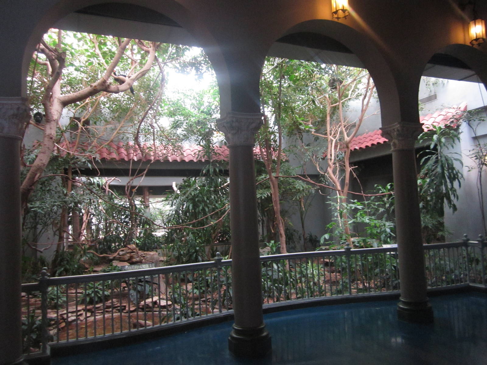 Aug. 2012-Tropical Forest exhibit