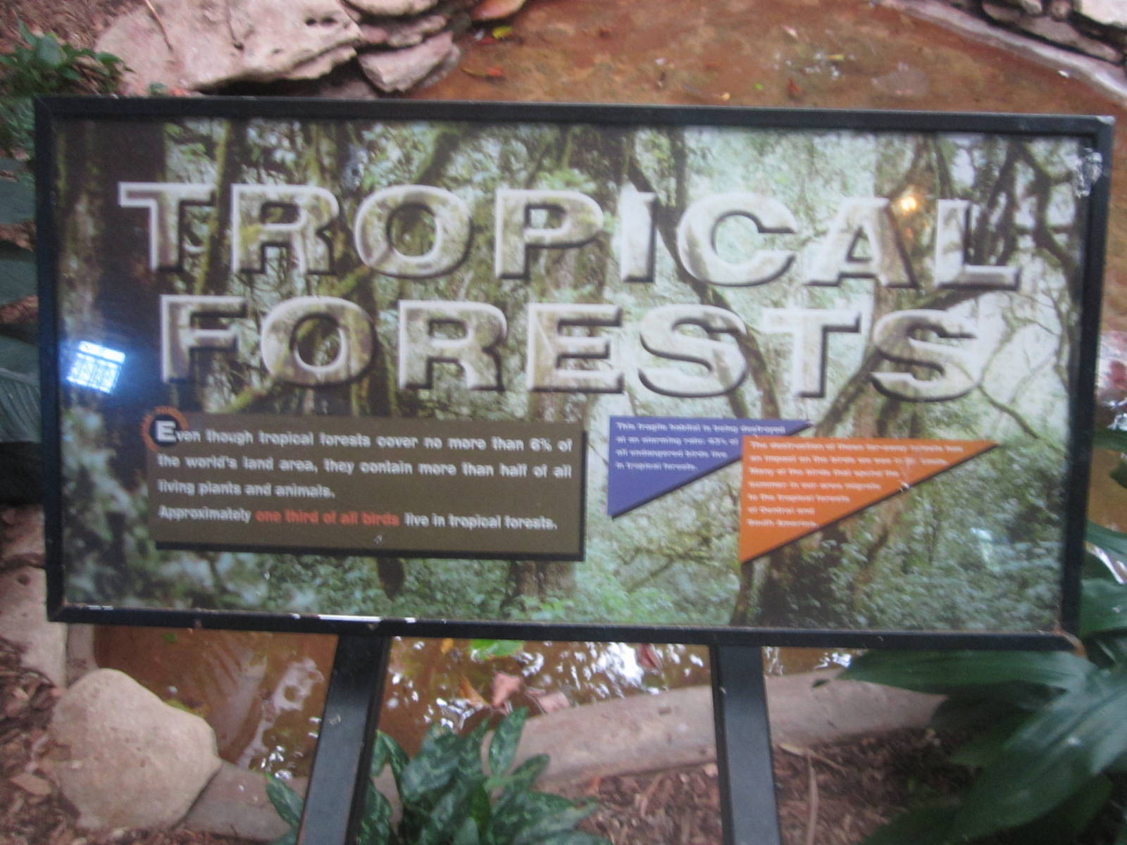 Aug. 2012-Tropical Forests sign