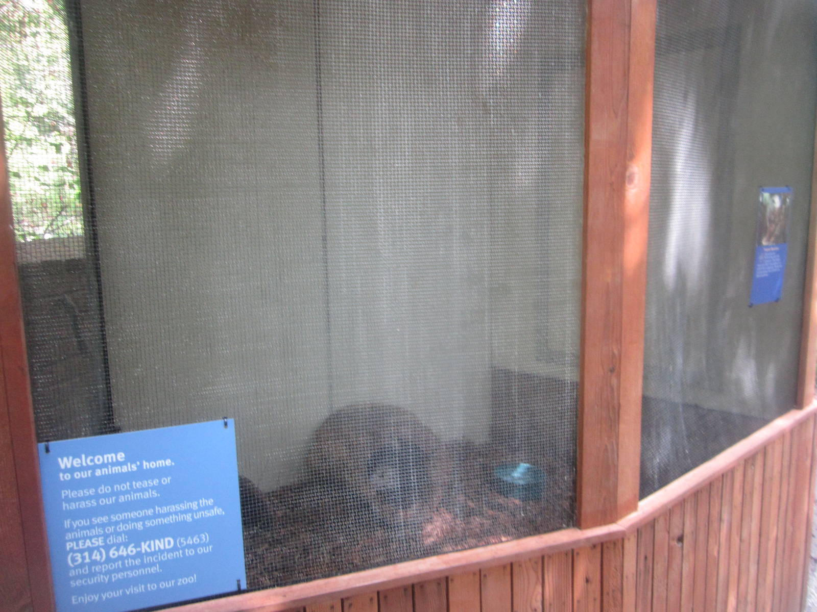 Aug. 2012-Virginia Opossum exhibit