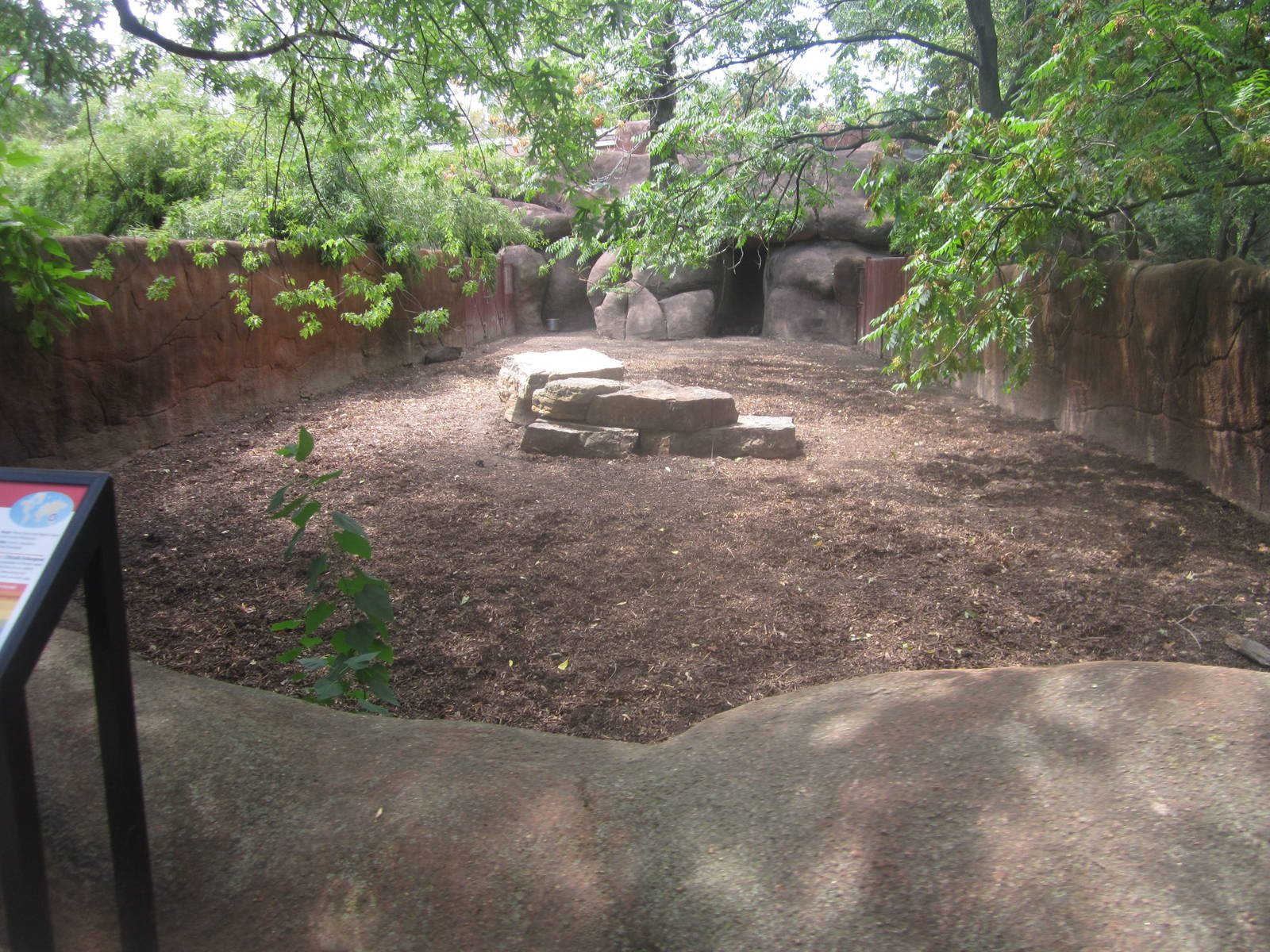Aug. 2012-Visayan Warty Pig exhibit