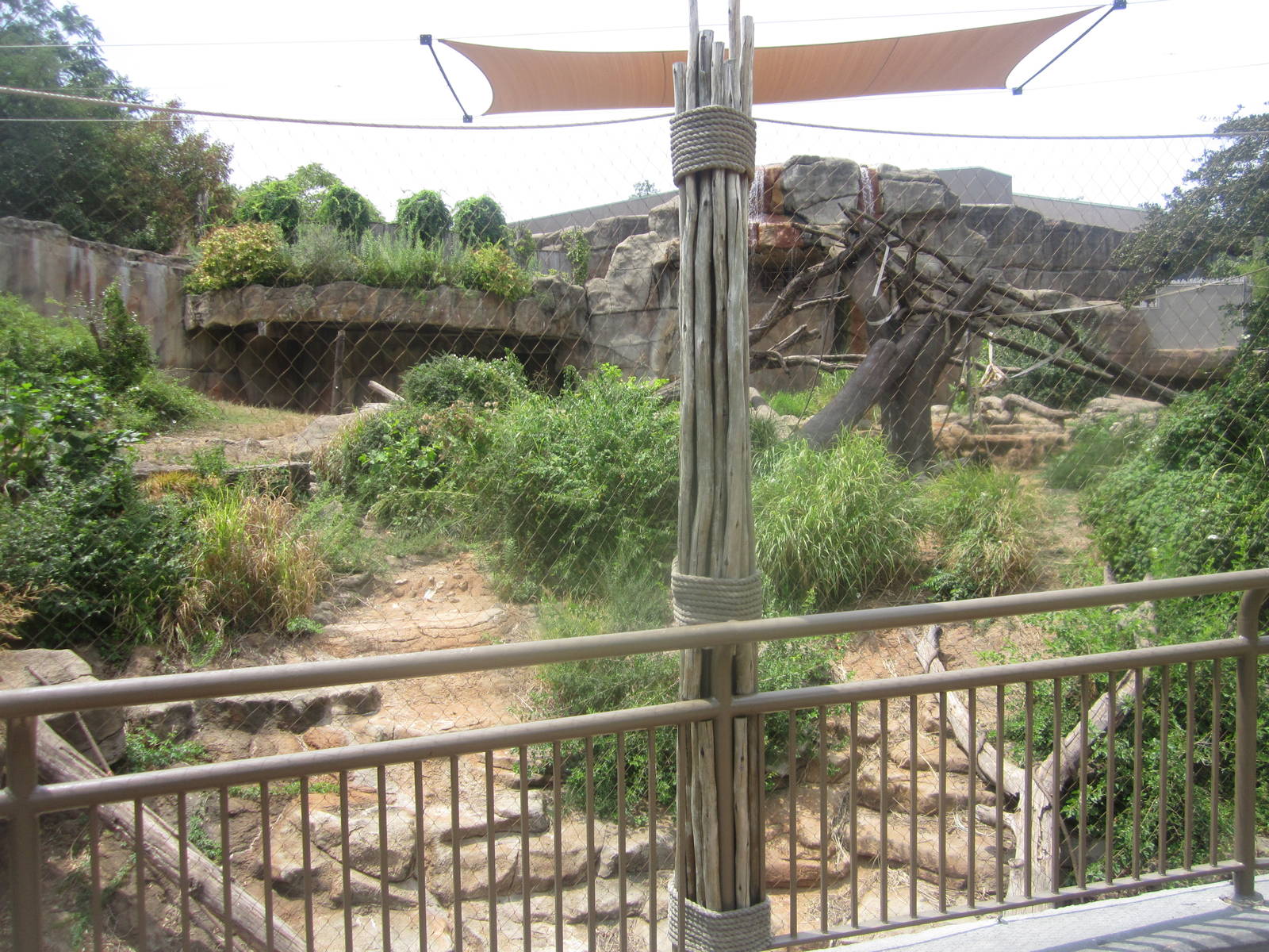 Aug. 2012-Western Lowland Gorilla exhibit