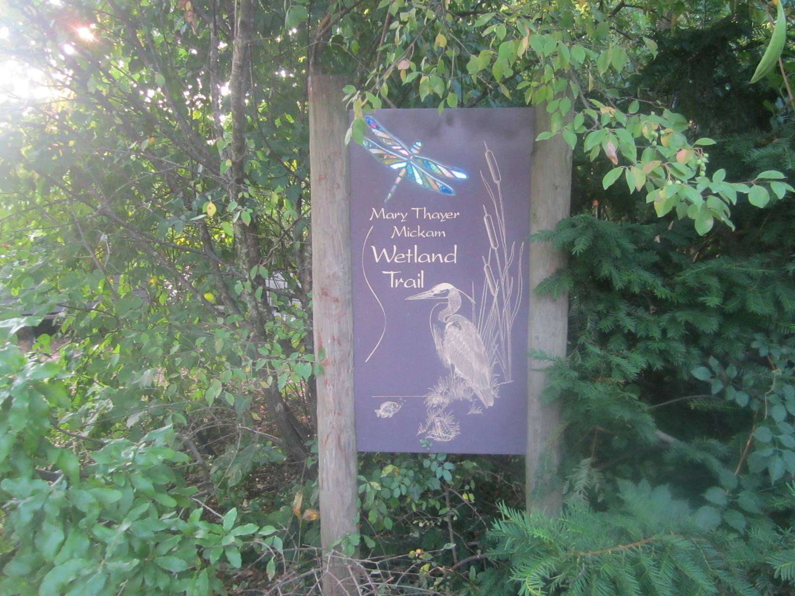 Aug. 2012-Wetland Trail sign