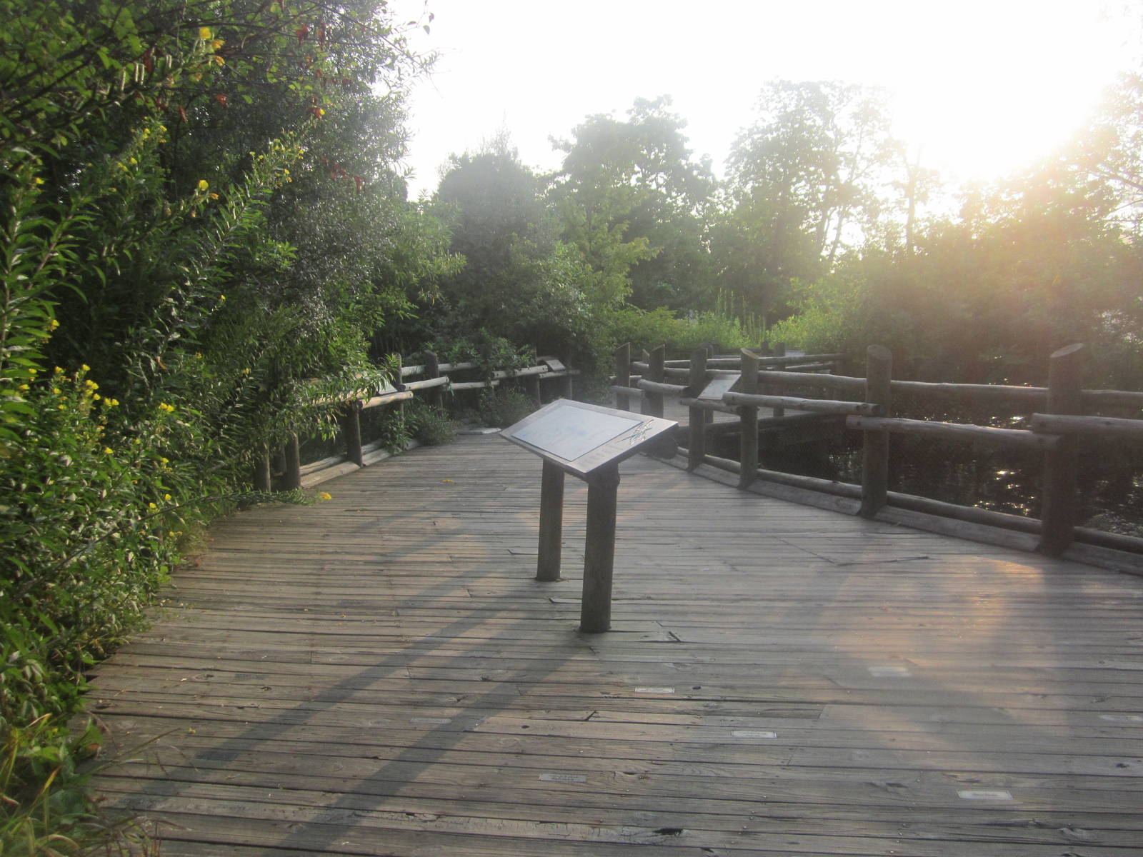 Aug. 2012-Wetland Trail