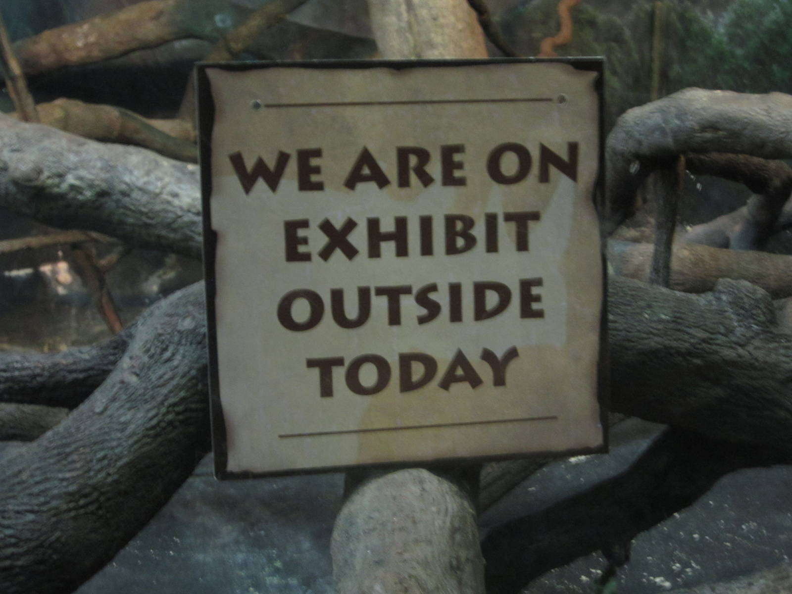 Aug. 2012-White-handed Gibbon sign