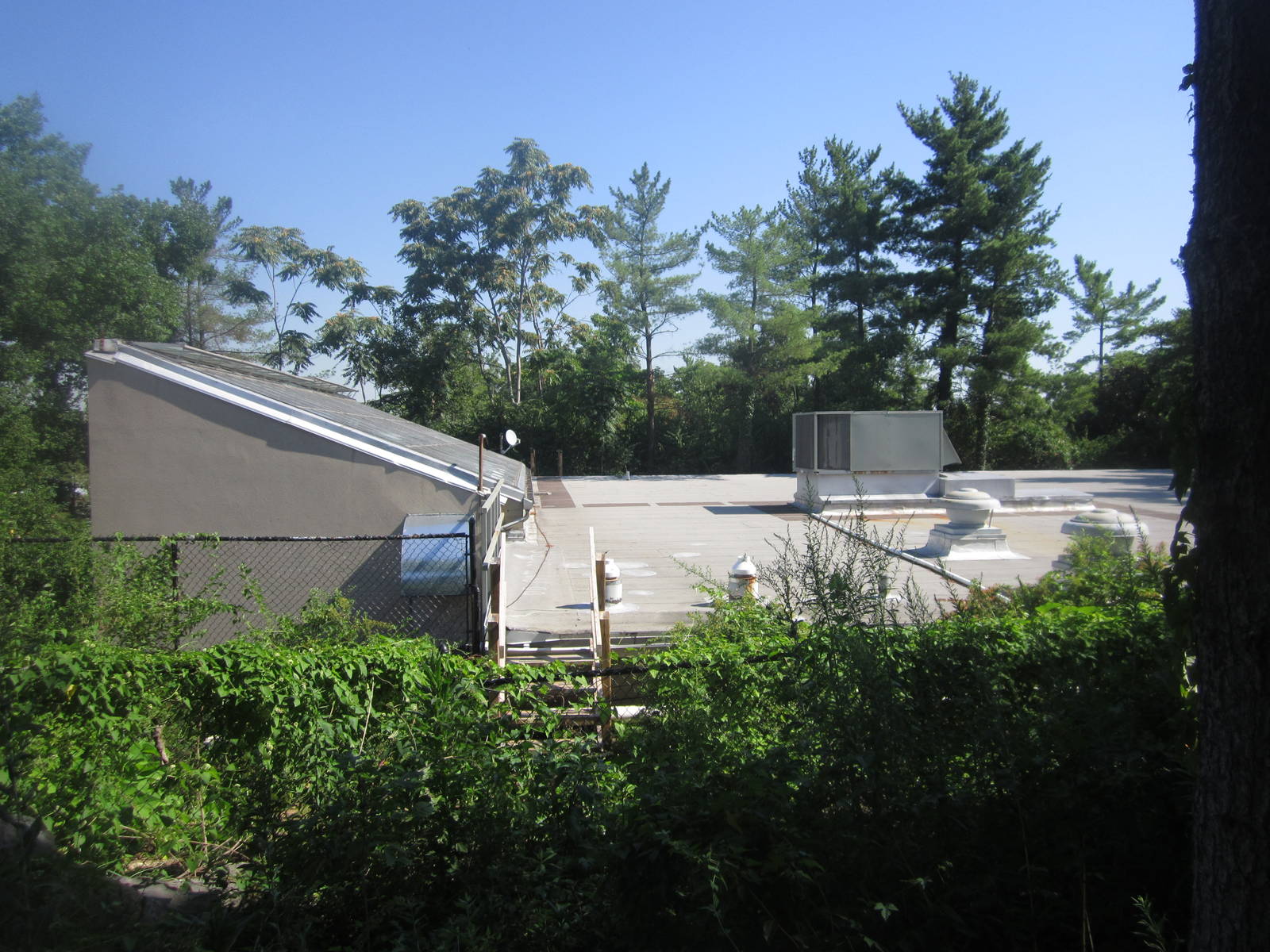 Aug. 2012-World of the Insect from above