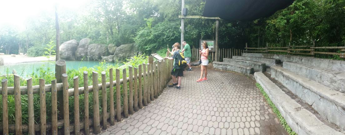 Aug. 2013 - Elephant Reserve - Elephant Encounter Seating