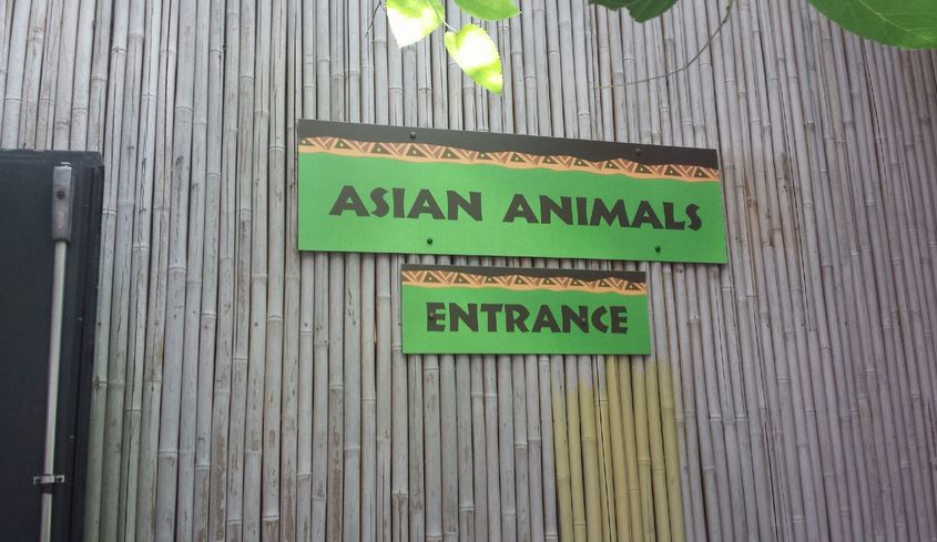 Aug. 2013 - Jungle Trails - Asian Animals Entrance