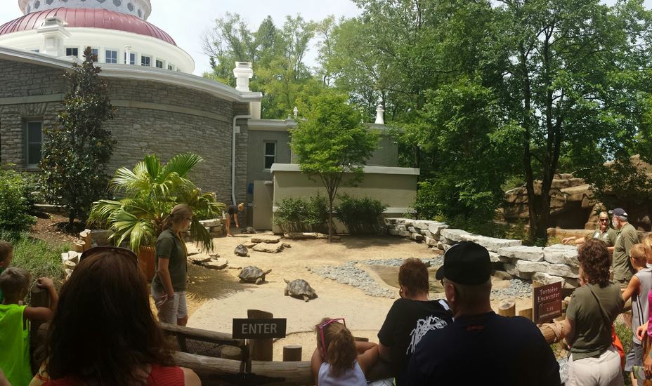 Aug. 2013 - Reptile House - Galapagos Tortoise Walkthrough