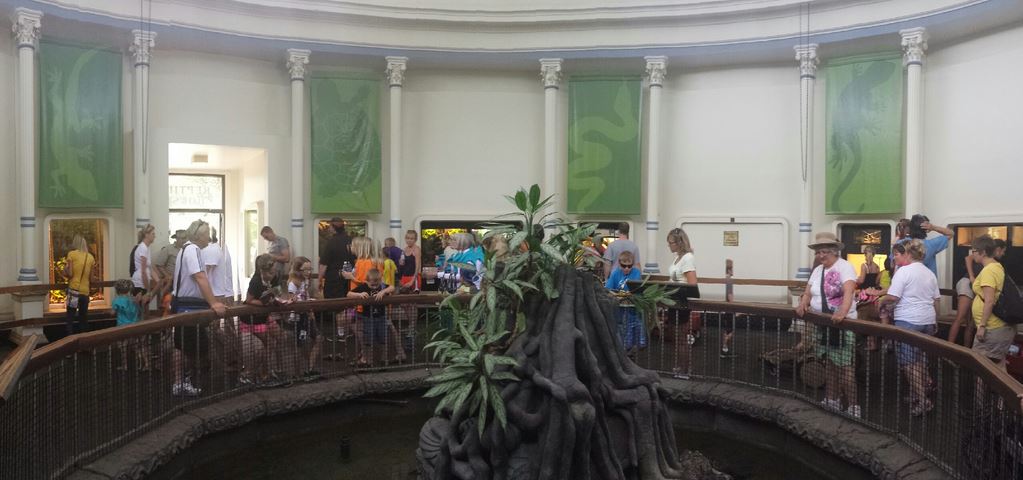 Aug. 2013 - Reptile House