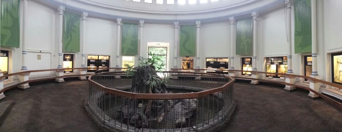 Aug. 2013 - Reptile House