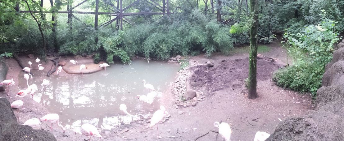 Aug. 2013 - Rhino Reserve - Flamingo Cove