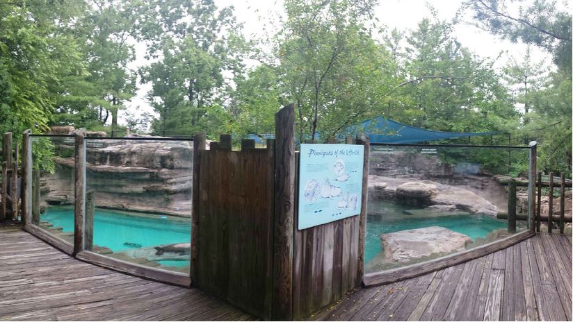 Aug. 2013 - Sea Lion Falls - Above Viewing
