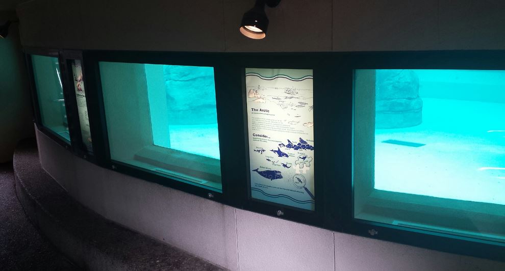 Aug. 2013 - Sea Lion Falls - Underwater Viewing