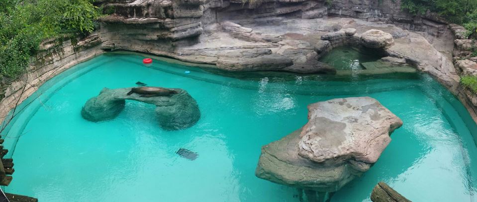 Aug. 2013 - Sea Lion Falls