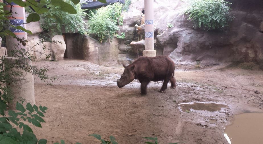 Aug. 2013 - Wildlife Canyon - Harapan