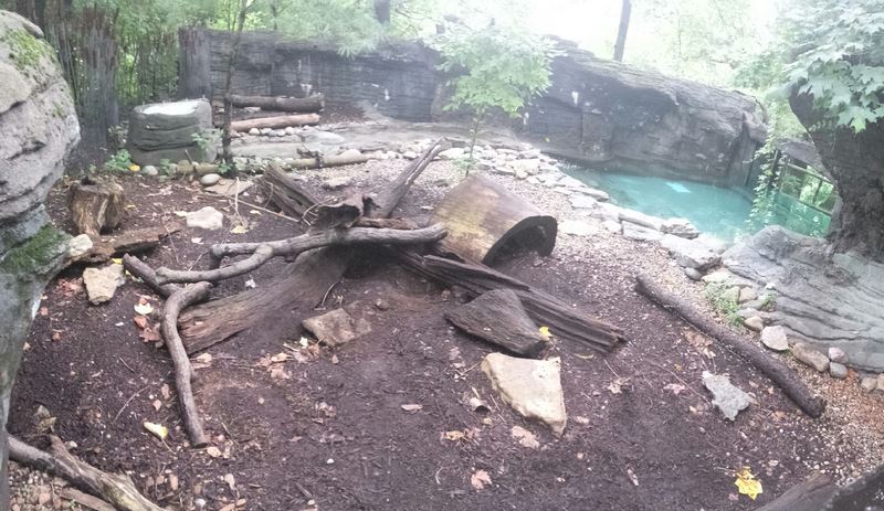 Aug. 2013 - Wolf Woods - North American River Otter Exhibit