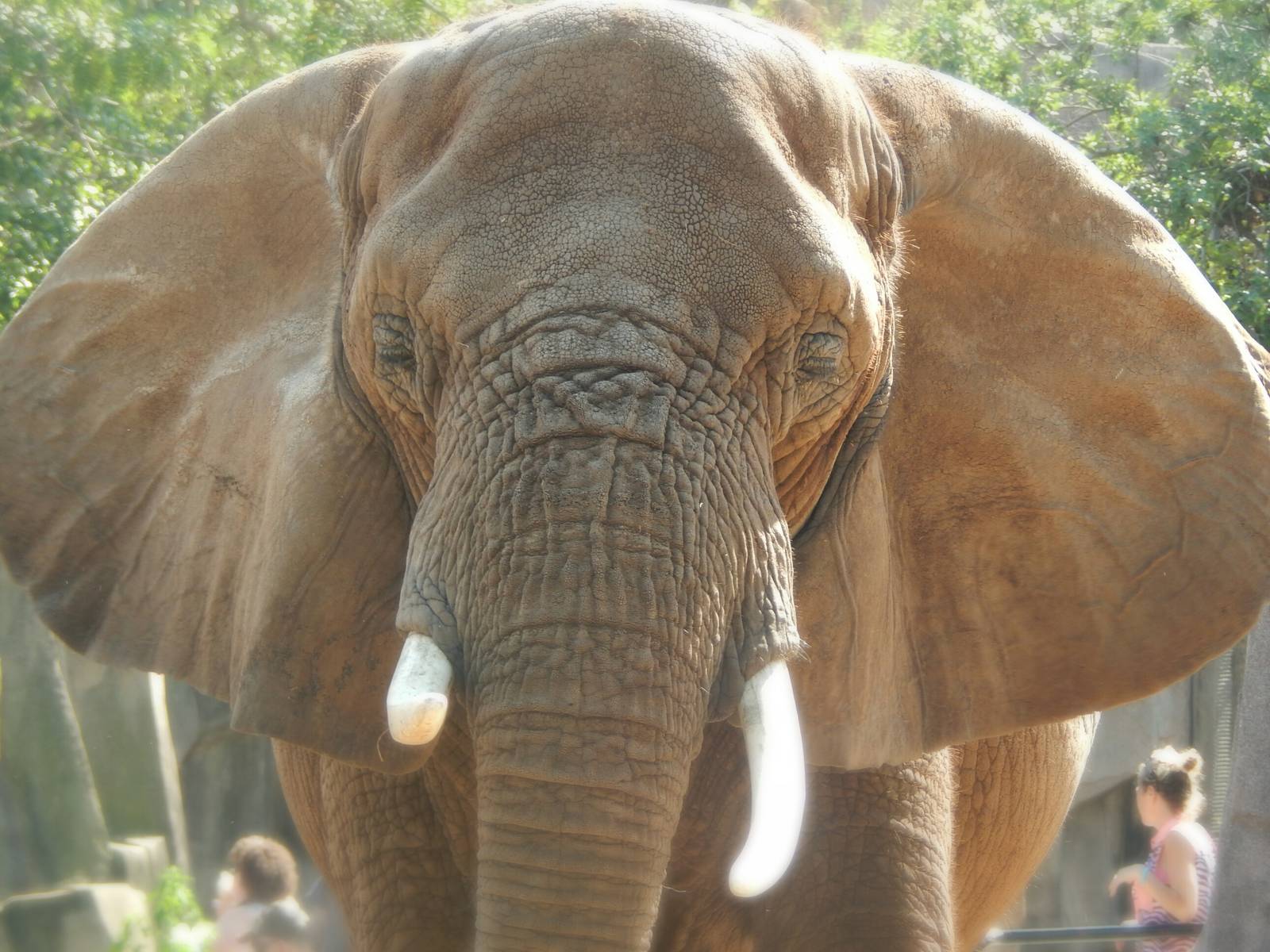 Aug. 2014 - Africa-Asia-South America - Ruth